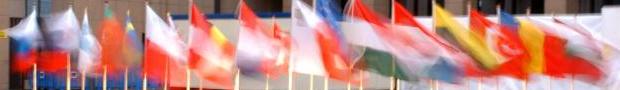 Consultative Network on Technical Assistance (CNTA) - Contact Points